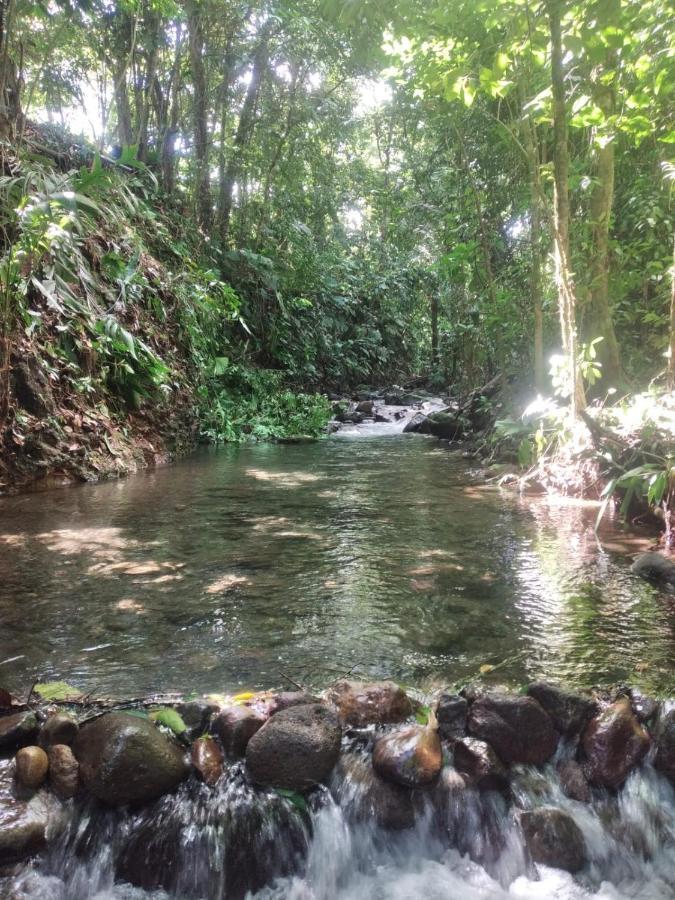La Fortuna Natural Green Dış mekan fotoğraf