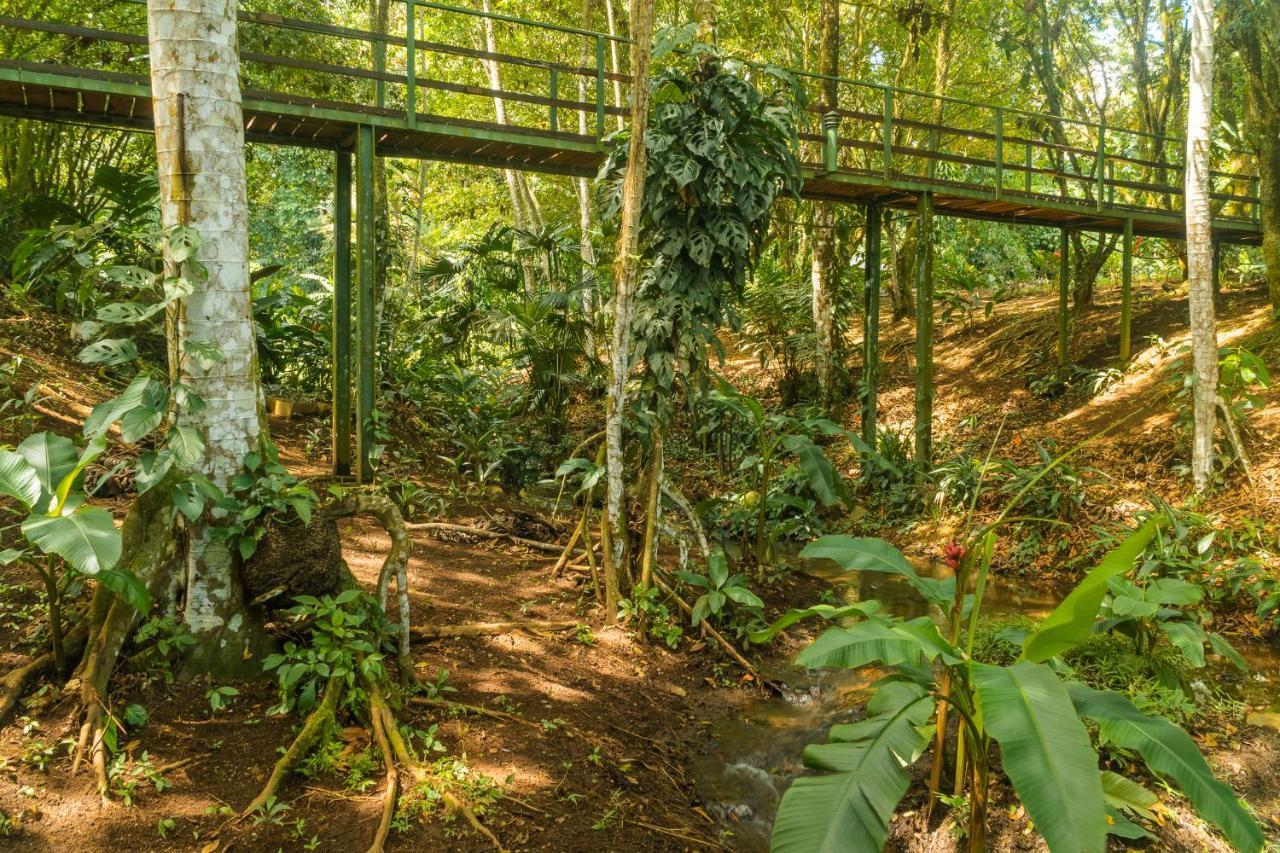 La Fortuna Natural Green Dış mekan fotoğraf
