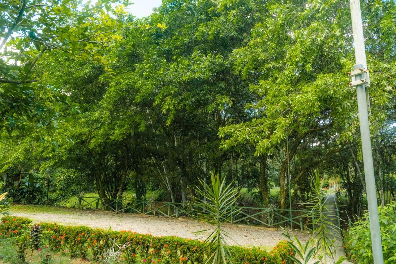 La Fortuna Natural Green Dış mekan fotoğraf